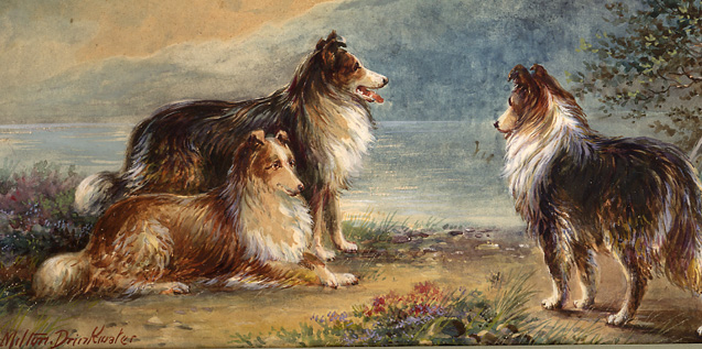 Scottish Farm Shepherd